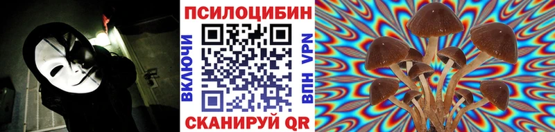 что такое   Киржач  Псилоцибиновые грибы Psilocybine cubensis 